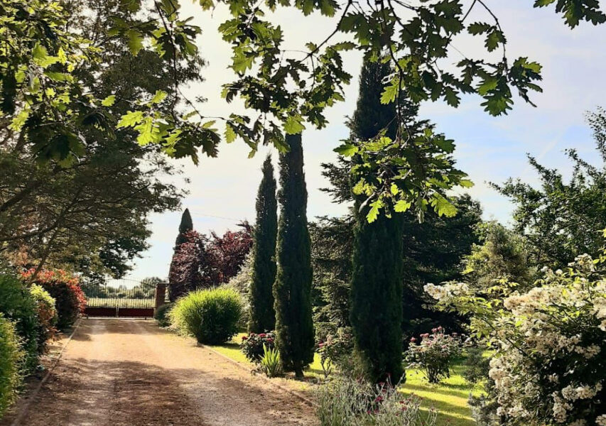 Maison à vendre à Garganvillar — Vue nature — photo 7
