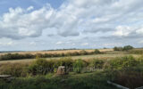 Maison à vendre à Savignies — Vue nature — photo 1
