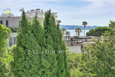 Appartement à vendre à Juan-les-Pins