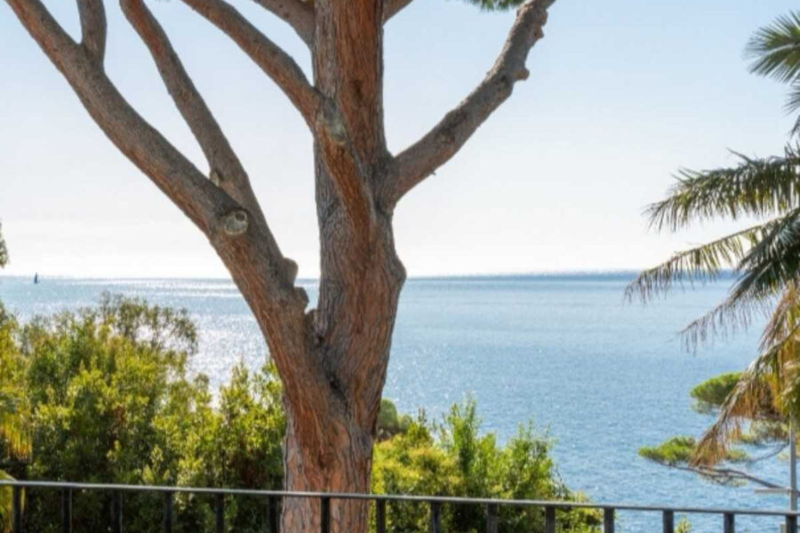 Maison à vendre à Cannes — Vue mer — photo 2