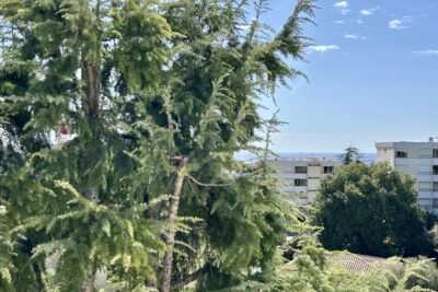 Appartement à vendre à Antibes