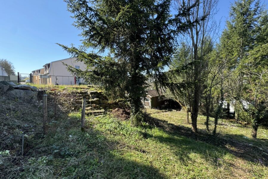 Terrain à vendre à Altkirch — Vue nature — photo 10