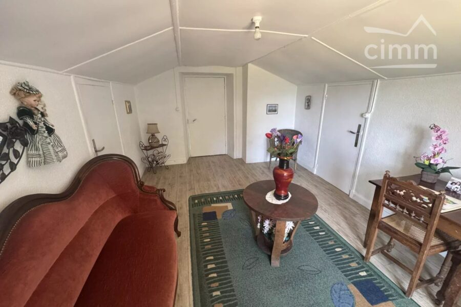 Maison à vendre à Thiolières — Vue montagne — photo 10