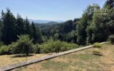Maison à vendre à Thiolières — Vue montagne — photo 5