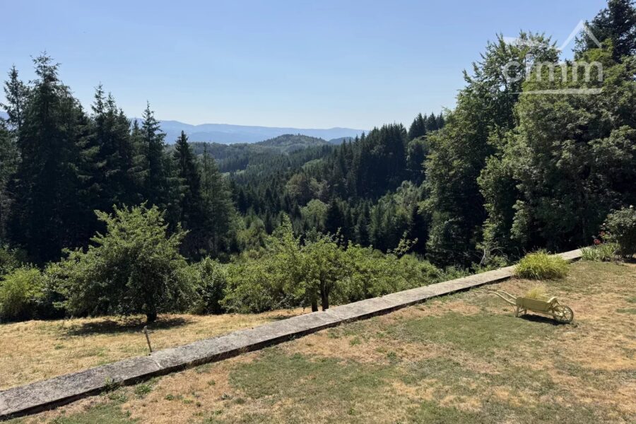 Maison à vendre à Thiolières — Vue montagne — photo 5