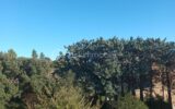 Maison à vendre à Saint hilaire d ozilhan — Vue nature — photo 8