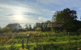 Terrain à vendre à Parigny les vaux — Vue nature — photo 7