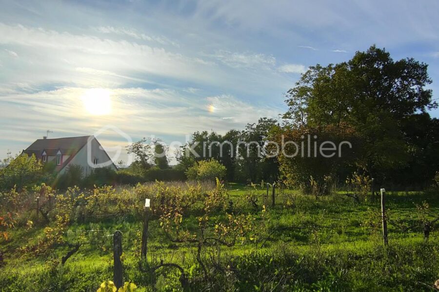 Terrain à vendre à Parigny les vaux — Vue nature — photo 7