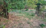 Terrain à vendre à Torfou — Vue nature — photo 7