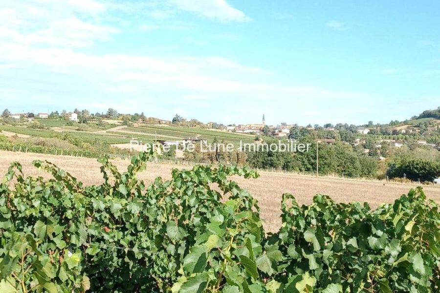 Appartement à louer à Le Bois-d&rsquo;Oingt — Vue vignes — photo 2