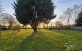 Maison à vendre à Picauville — Vue nature — photo 7