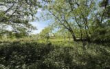 Terrain à vendre à Le mans — Vue dégagée — photo 7