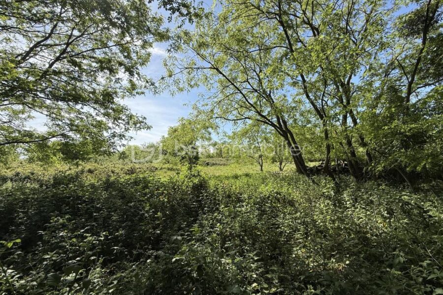 Terrain à vendre à Le mans — Vue dégagée — photo 7