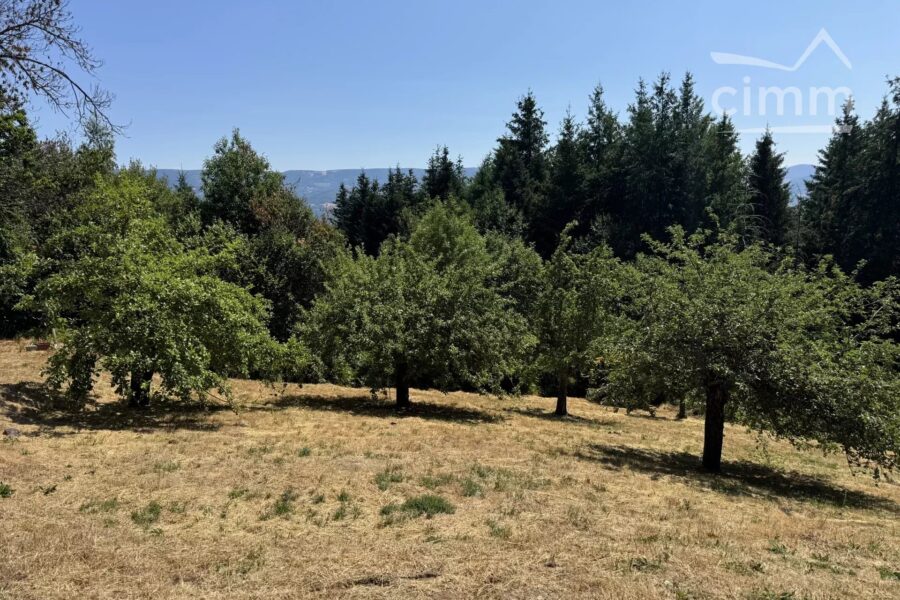 Maison à vendre à Thiolières — Vue montagne — photo 9