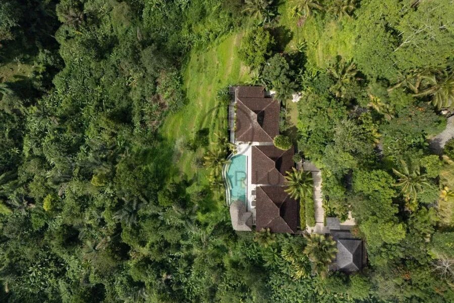 Maison à vendre à Ubud — Vue nature — photo 55