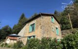 Maison à vendre à Thiolières — Vue montagne — photo 33