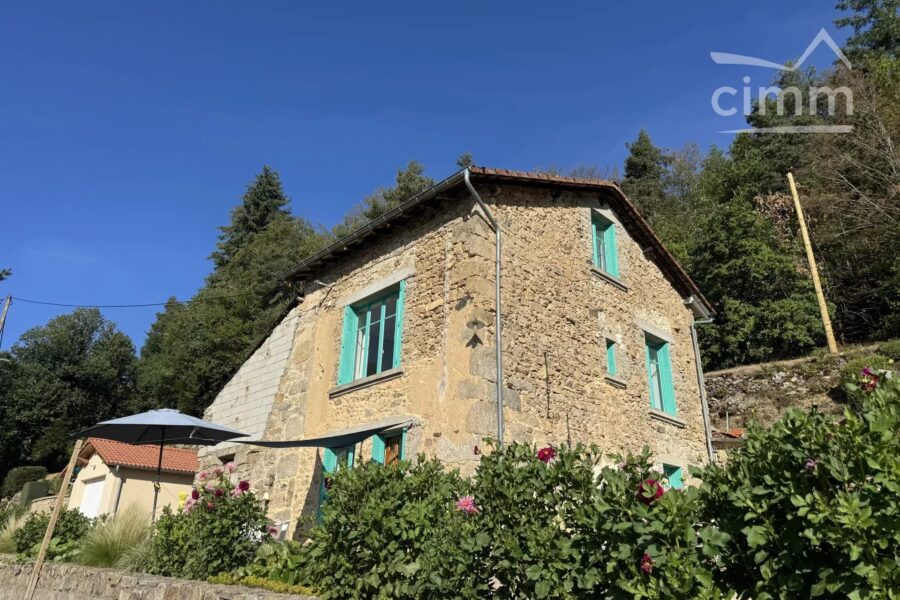 Maison à vendre à Thiolières — Vue montagne — photo 33
