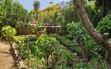 Maison à vendre à Roquebrune-cap-martin — Vue mer — photo 28