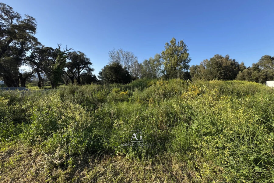 Terrain à vendre à Solaro — Vue dégagée — photo 1