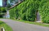 Maison à vendre à Sussey — Vue nature — photo 7