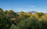 Maison à vendre à Grasse — Vue montagne — photo 1