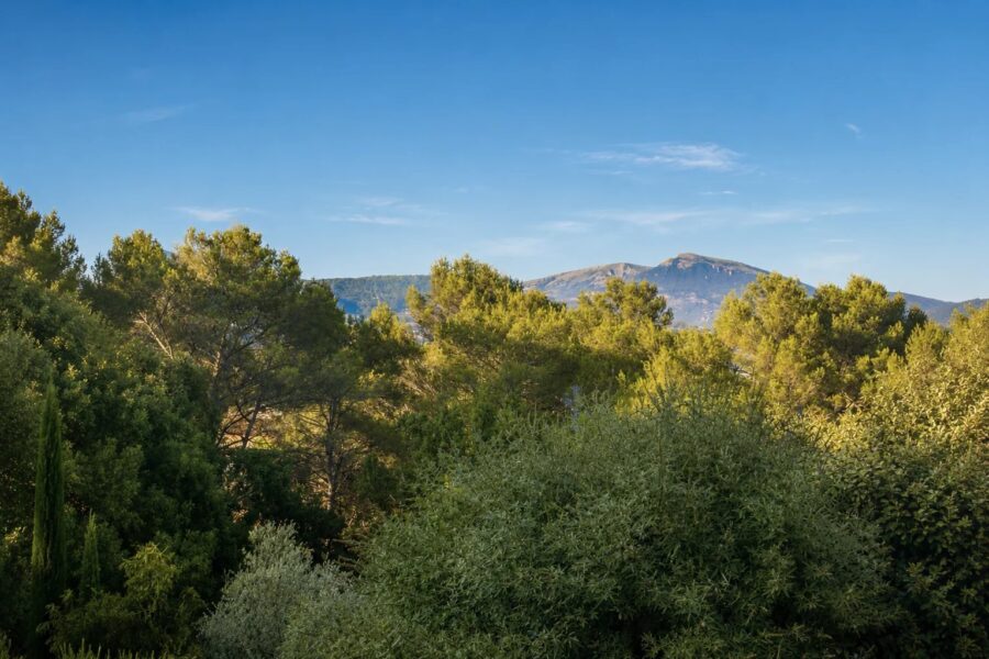Maison à vendre à Grasse — Vue montagne — photo 1
