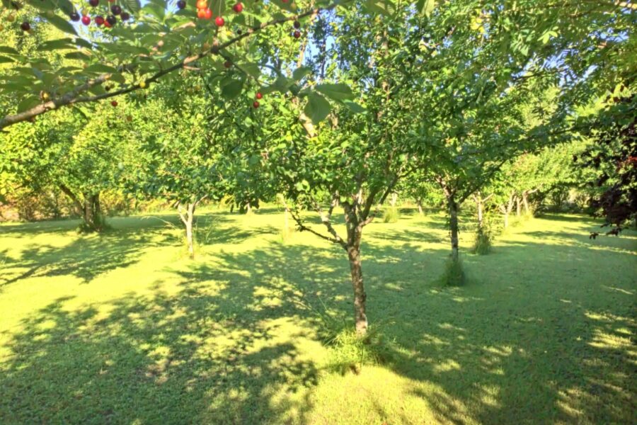 Maison à vendre à Saint-dizant-du-gua — Vue parc & jardin — photo 28
