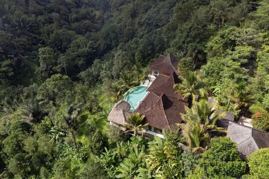 Maison à vendre à Ubud — Vue nature — photo 2