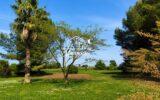 Maison à vendre à Narbonne — Vue nature — photo 19