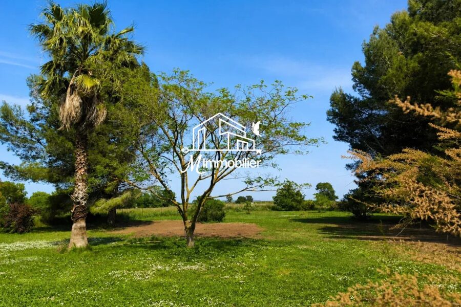 Maison à vendre à Narbonne — Vue nature — photo 19