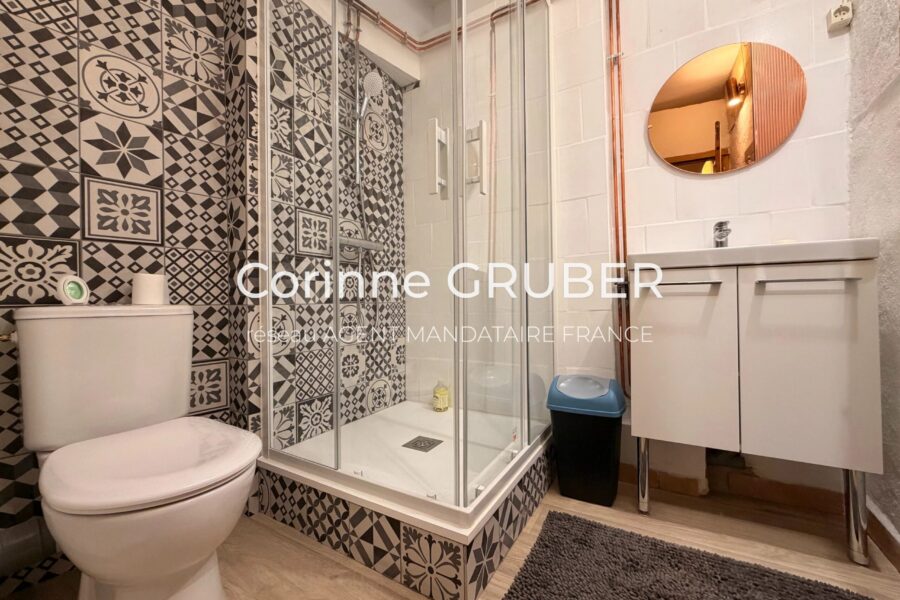 Maison à vendre à Digne-les-bains — Vue montagne — photo 20