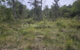 Terrain à vendre à Oraison — Vue dégagée — photo 1