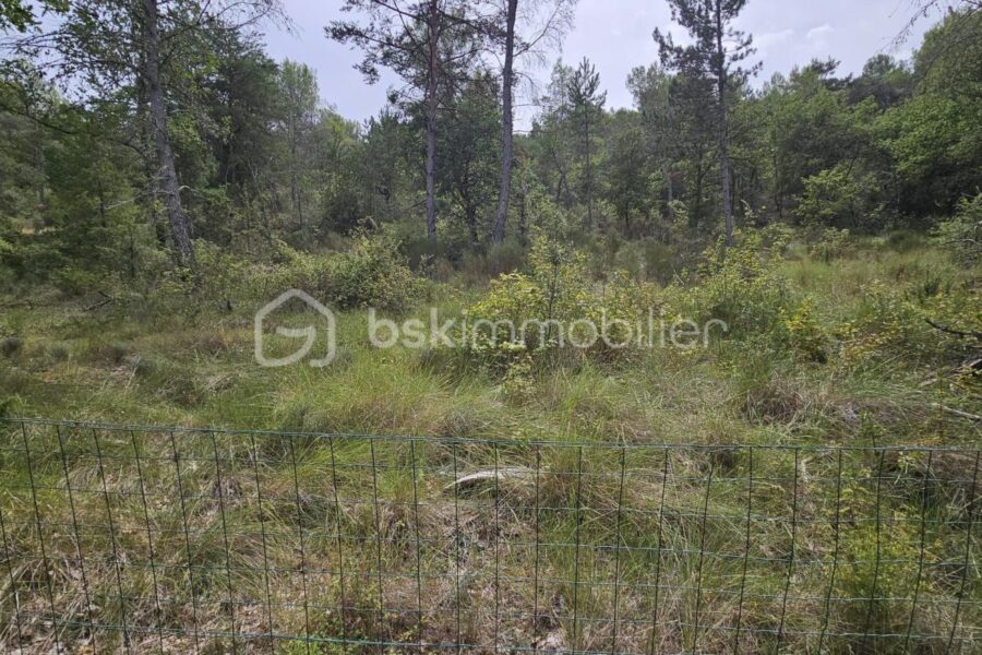 Terrain à vendre à Oraison — Vue dégagée — photo 1