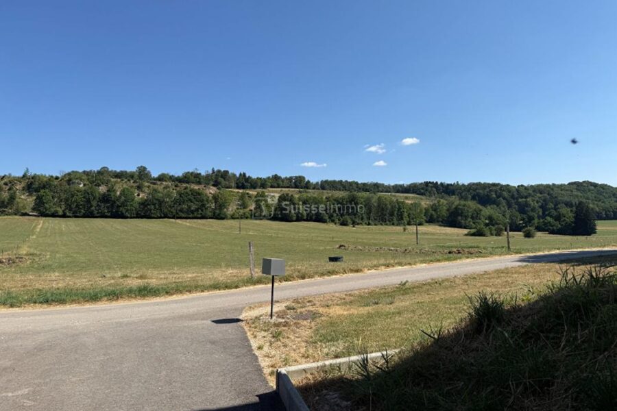 Maison à vendre à Passavant — Vue nature — photo 8