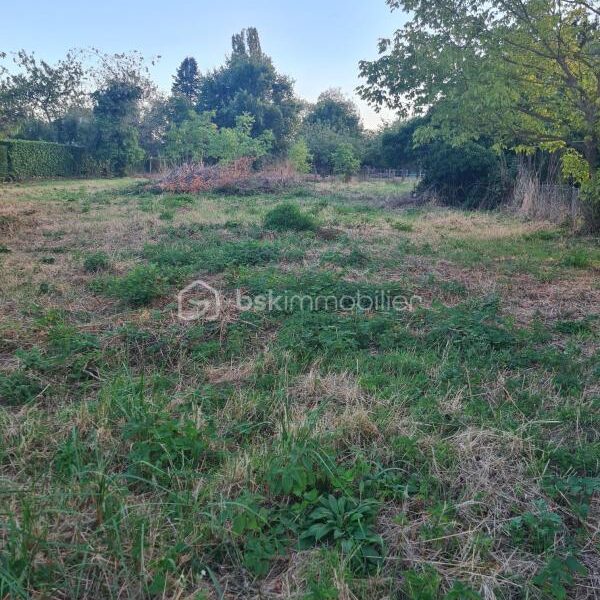 Terrain à vendre à Torfou — Vue nature — photo 8