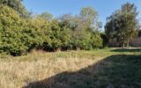 Terrain à vendre à Handschuheim — Vue dégagée — photo 1