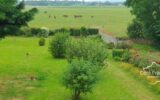 Maison à vendre à Picauville — Vue nature — photo 8