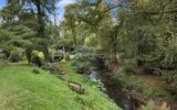 Maison à vendre à Dineault — Vue nature — photo 8