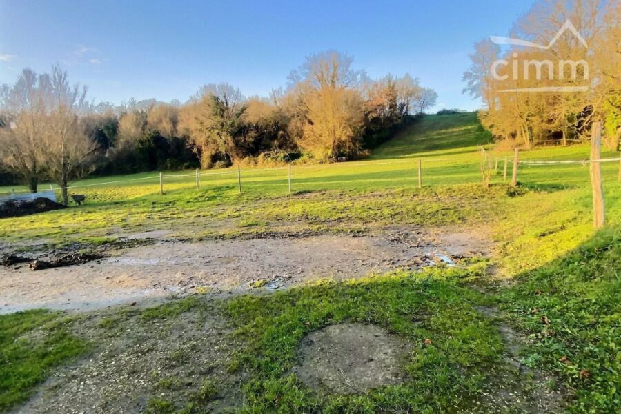 Maison à vendre à Veuzain-sur-loire — Vue nature — photo 4