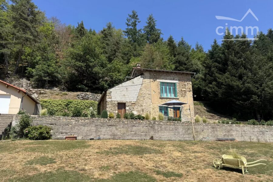 Maison à vendre à Thiolières — Vue montagne — photo 27