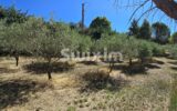 Maison à vendre à Buis-les-baronnies — Vue montagne — photo 9