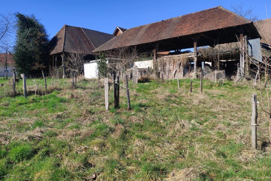 Maison à vendre à Saint-jean-d&rsquo;avelanne — Vue nature — photo 10