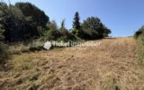 Terrain à vendre à Daux — Vue nature — photo 4