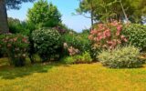 Appartement à vendre à Saint-raphaël — Vue parc & jardin — photo 13