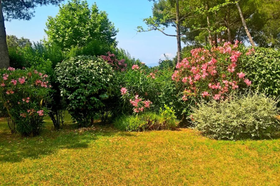 Appartement à vendre à Saint-raphaël — Vue parc & jardin — photo 13