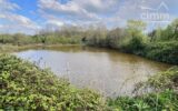 Terrain à vendre à Nozay — Vue lac — photo 5