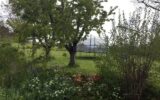 Maison à vendre à Domaize — Vue nature — photo 12