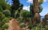 Maison à vendre à Roquebrune-cap-martin — Vue mer — photo 23