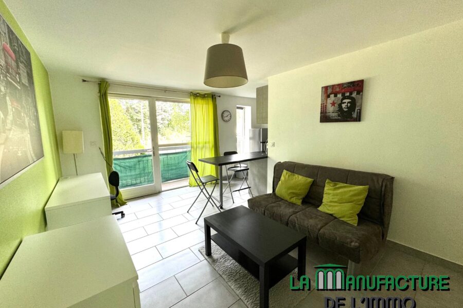 Appartement à louer à Saint-Étienne — Vue sur la ville — photo 7