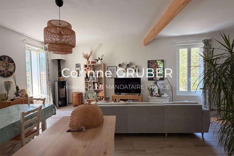 Maison à vendre à Digne-les-bains — Vue montagne — photo 6